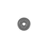Standard Cast Iron Weight Plate (27mm)