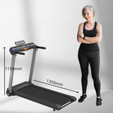 Trax Walker S2 Treadmill