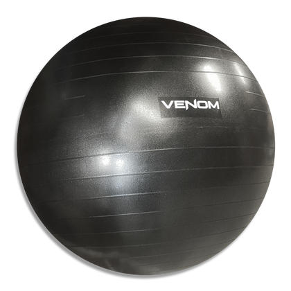 Venom Fit Ball with Pump