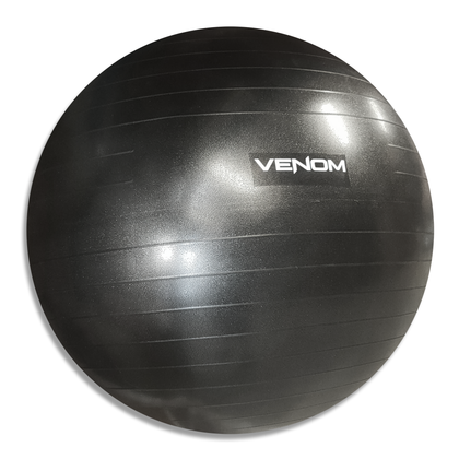 Venom Fit Ball with Pump
